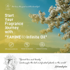 Ylang Ylang