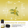 Ylang Ylang